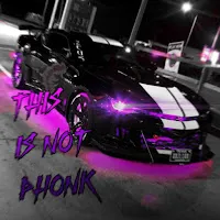 Bgnzinho — This Is Not Phonk — обложка